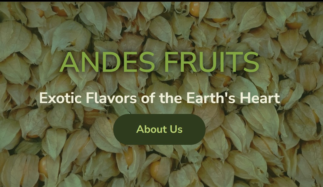 Andes Export